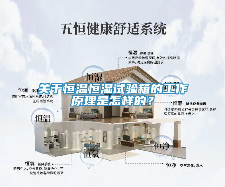 關於恒溫恒濕試驗箱的工作原理是怎樣的？