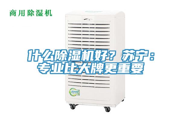 什麽草莓污视频在线看好？蘇寧：專業比大牌更重要