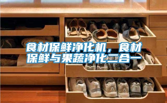 食材保鮮淨化機，食材保鮮與果蔬淨化二合一