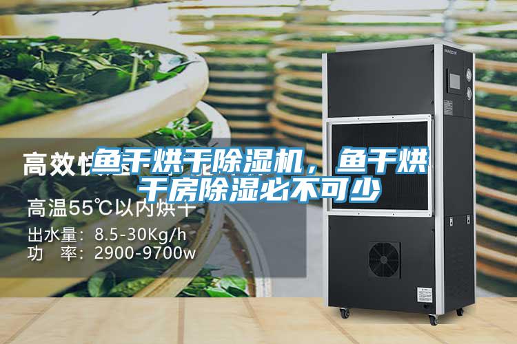 魚幹烘幹草莓污视频在线看，魚幹烘幹房除濕必不可少