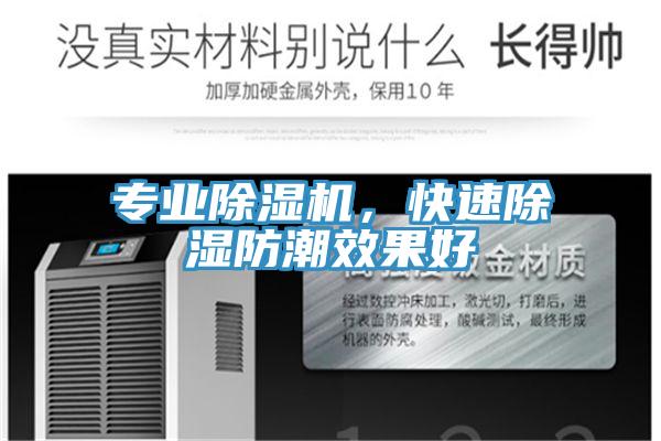 專業草莓污视频在线看，快速除濕防潮效果好