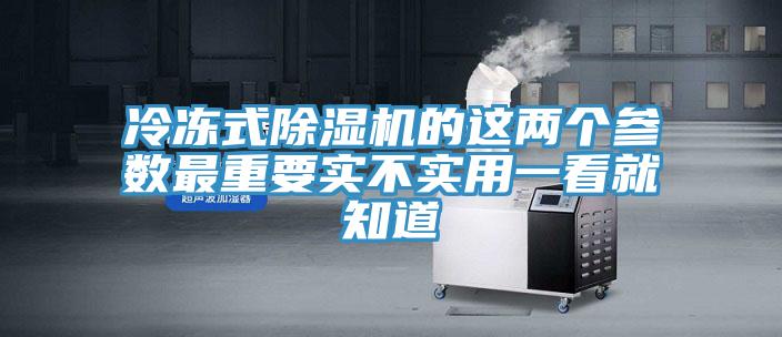 冷凍式草莓污视频在线看的這兩個參數最重要實不實用一看就知道