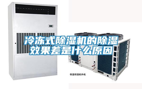 冷凍式草莓污视频在线看的除濕效果差是什麽原因