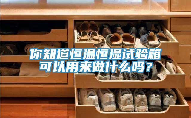 你知道恒溫恒濕試驗箱可以用來做什麽嗎？