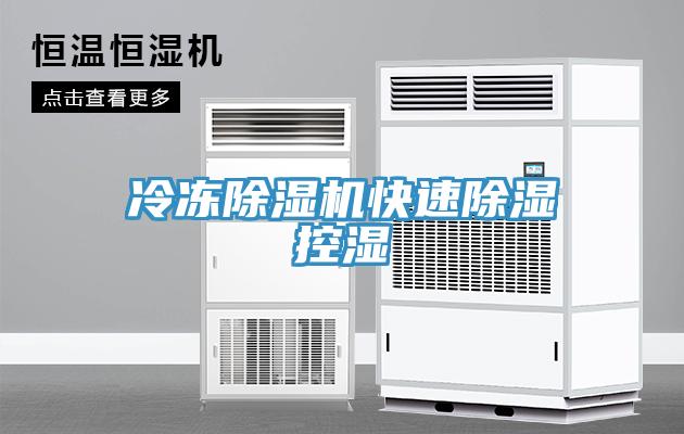 冷凍草莓污视频在线看快速除濕控濕