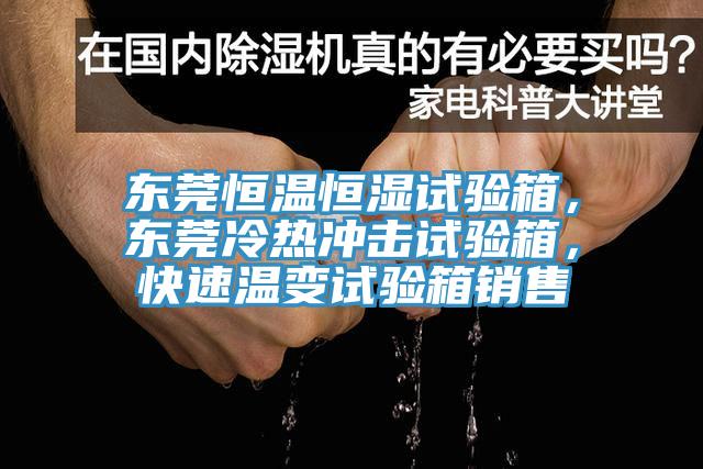 東莞恒溫恒濕試驗箱，東莞冷熱衝擊試驗箱，快速溫變試驗箱銷售