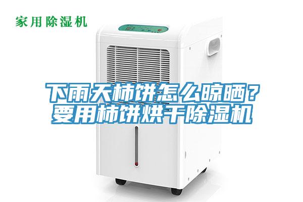 下雨天柿餅怎麽晾曬？要用柿餅烘幹草莓污视频在线看
