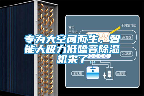 專為大空間而生，智能大吸力低噪音草莓污视频在线看來了