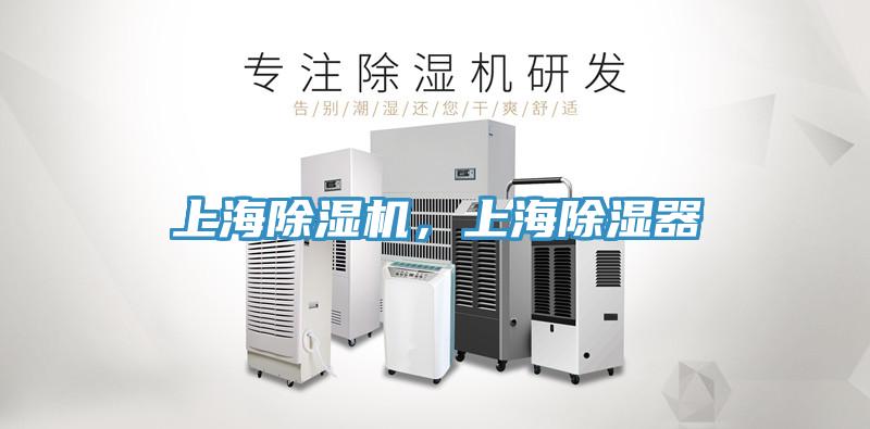 上海草莓污视频在线看，上海除濕器