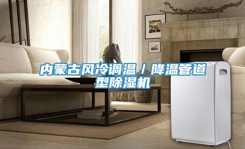 內蒙古風冷調溫／降溫管道型草莓污视频在线看