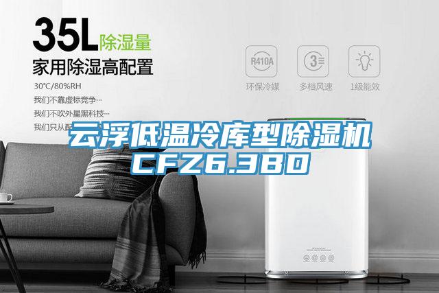 雲浮低溫冷庫型草莓污视频在线看CFZ6.3BD
