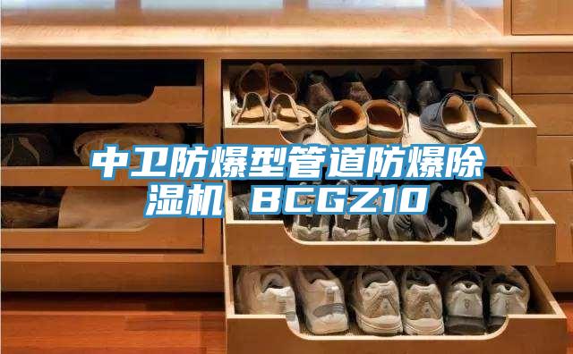 中衛防爆型管道防爆草莓污视频在线看 BCGZ10