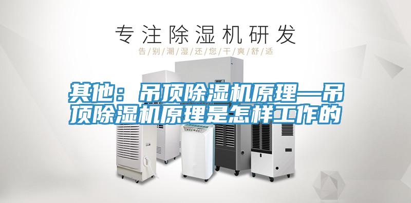 其他：吊頂草莓污视频在线看原理—吊頂草莓污视频在线看原理是怎樣工作的