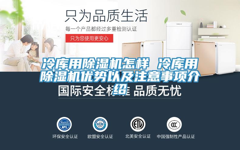 冷庫用草莓污视频在线看怎樣 冷庫用草莓污视频在线看優勢以及注意事項介紹