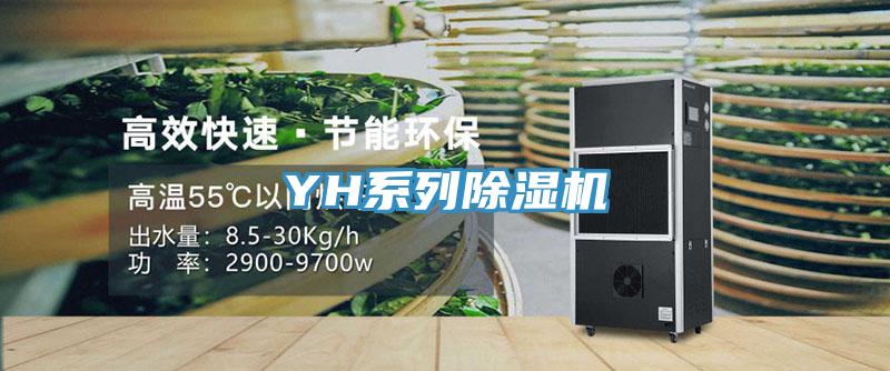 YH係列草莓污视频在线看