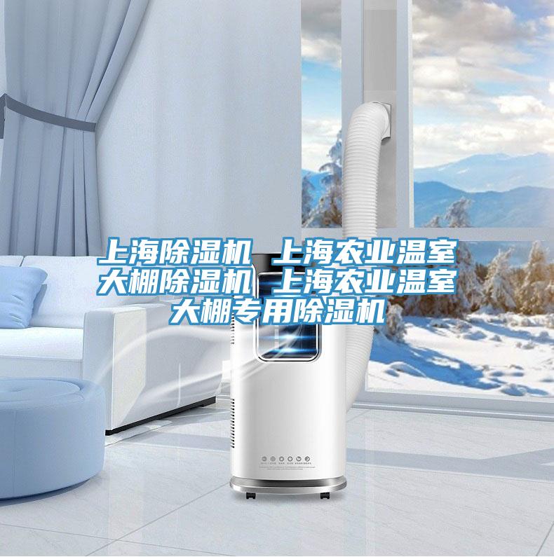 上海草莓污视频在线看 上海農業溫室大棚草莓污视频在线看 上海農業溫室大棚專用草莓污视频在线看