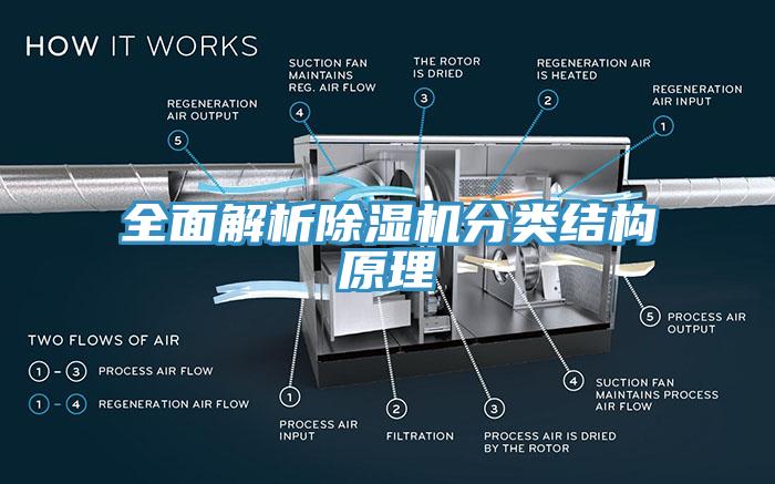 全麵解析草莓污视频在线看分類結構原理