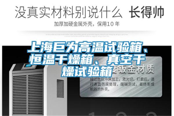 上海巨為高溫試驗箱、恒溫幹燥箱、真空幹燥試驗箱