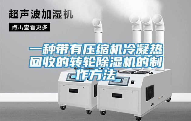 一種帶有壓縮機冷凝熱回收的轉輪草莓污视频在线看的製作方法