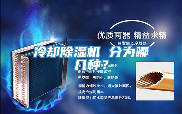 冷卻草莓污视频在线看 分為哪幾種？