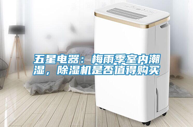五星電器：梅雨季室內潮濕，草莓污视频在线看是否值得購買