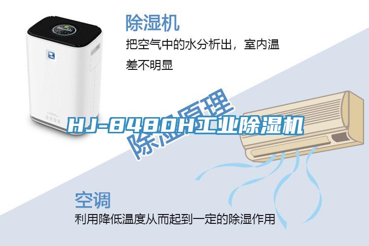 HJ-8480H工業草莓污视频在线看