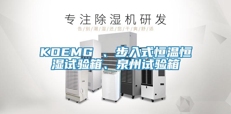 KOEMG 、步入式恒溫恒濕試驗箱、泉州試驗箱