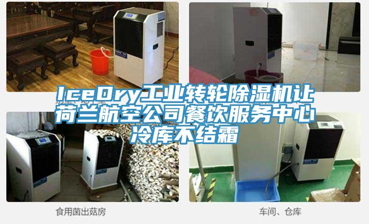 IceDry工業轉輪草莓污视频在线看讓荷蘭航空公司餐飲服務中心冷庫不結霜
