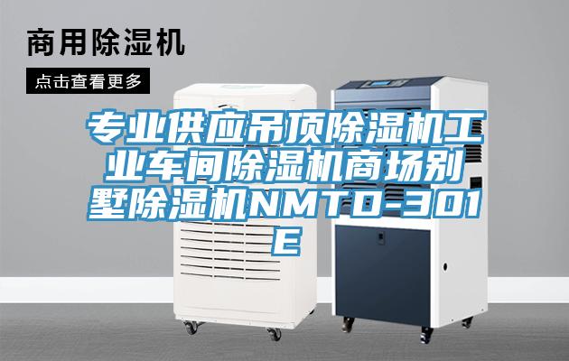 專業供應吊頂草莓污视频在线看工業車間草莓污视频在线看商場別墅草莓污视频在线看NMTD-301E