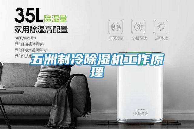 五洲製冷草莓污视频在线看工作原理