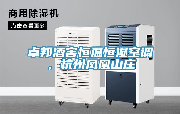 卓邦酒窖恒溫恒濕空調，杭州鳳凰山莊