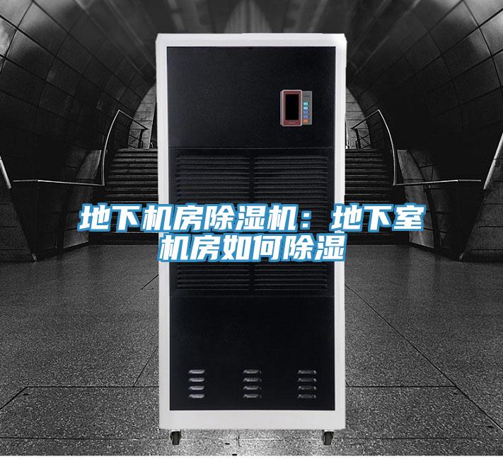 地下機房草莓污视频在线看：地下室機房如何除濕