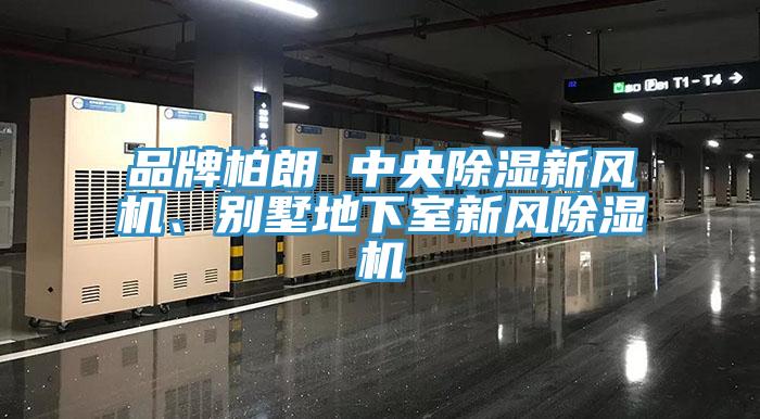 品牌柏朗 中央除濕新風機、別墅地下室新風草莓污视频在线看