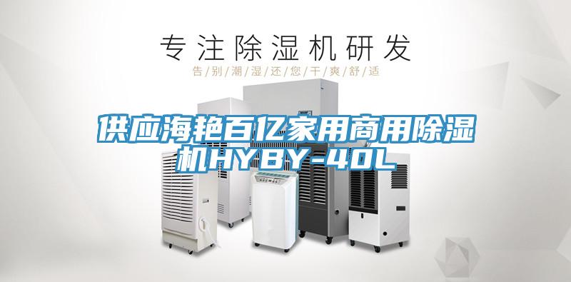 供應海豔百億家用商用草莓污视频在线看HYBY-40L