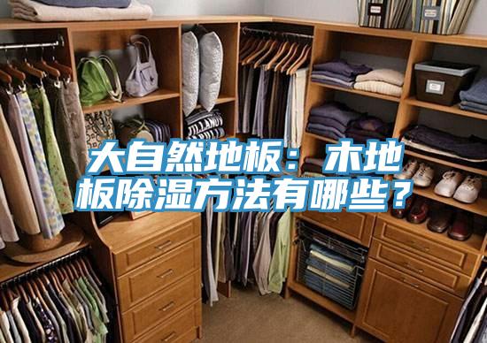 大自然地板：木地板除濕方法有哪些？