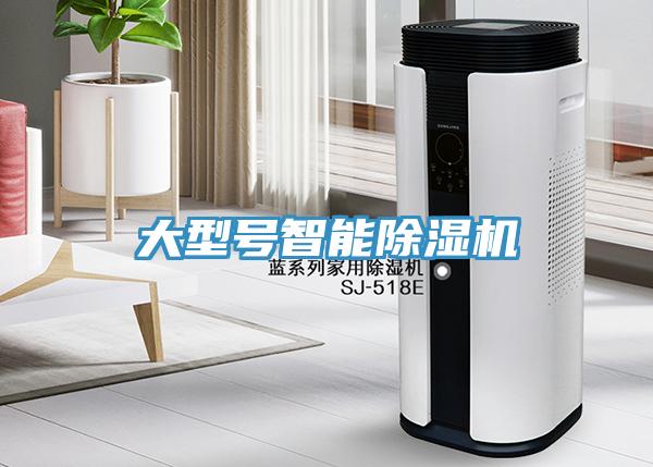大型號智能草莓污视频在线看