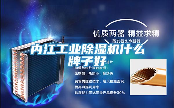 內江工業草莓污视频在线看什麽牌子好