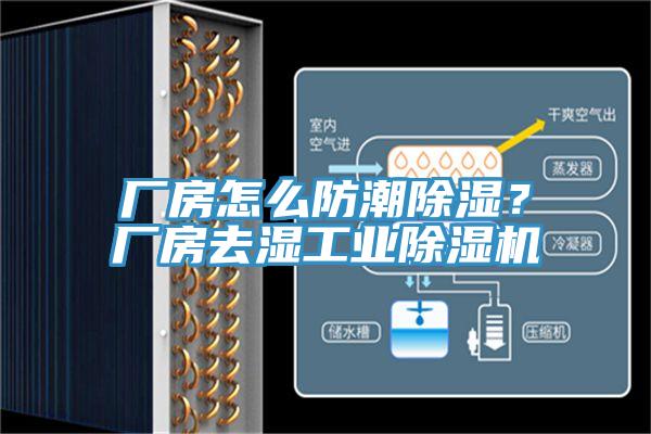廠房怎麽防潮除濕？廠房去濕工業草莓污视频在线看
