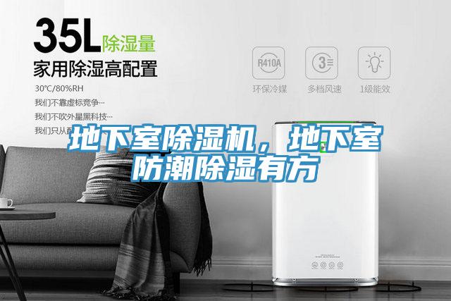 地下室草莓污视频在线看，地下室防潮除濕有方