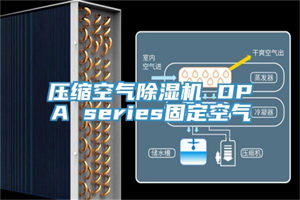 壓縮空氣草莓污视频在线看 DPA series固定空氣