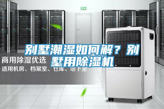 別墅潮濕如何解？別墅用草莓污视频在线看