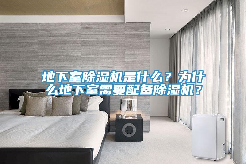 地下室草莓污视频在线看是什麽？為什麽地下室需要配備草莓污视频在线看？