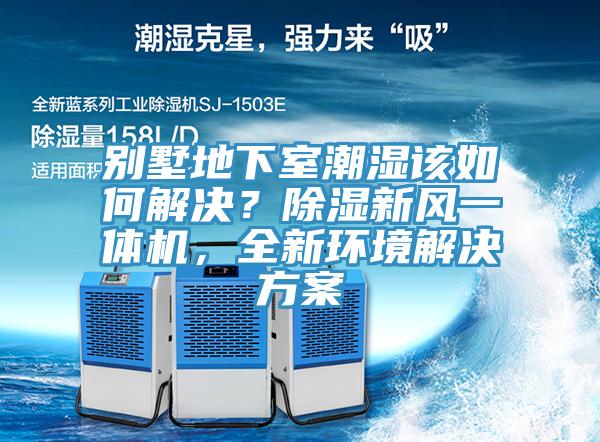 別墅地下室潮濕該如何解決？除濕新風一體機，全新環境解決方案