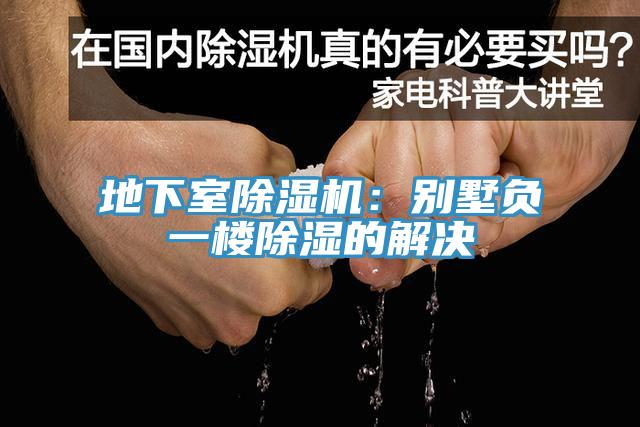 地下室草莓污视频在线看：別墅負一樓除濕的解決