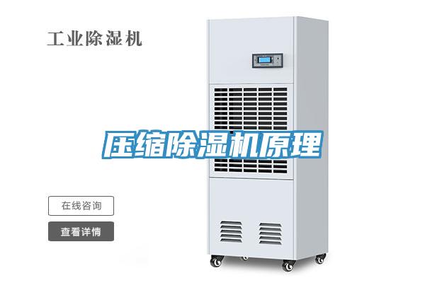 壓縮草莓污视频在线看原理