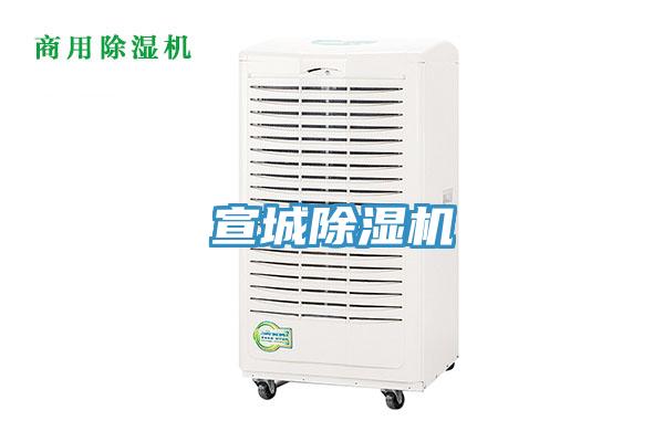 宣城草莓污视频在线看