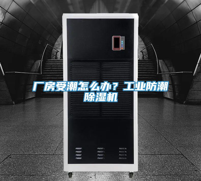 廠房受潮怎麽辦？工業防潮草莓污视频在线看