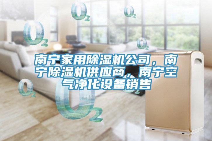 南寧家用草莓污视频在线看公司，南寧草莓污视频在线看供應商，南寧空氣淨化設備銷售