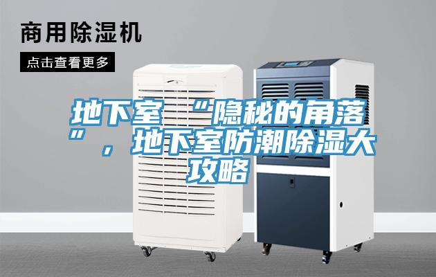 地下室≠“隱秘的角落”，地下室防潮除濕大攻略
