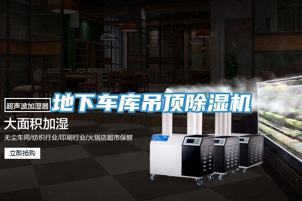 地下車庫吊頂草莓污视频在线看